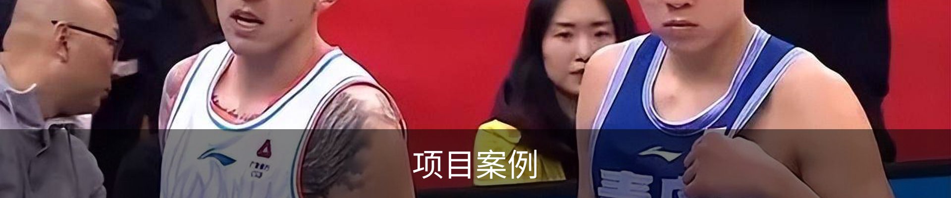 项目案例